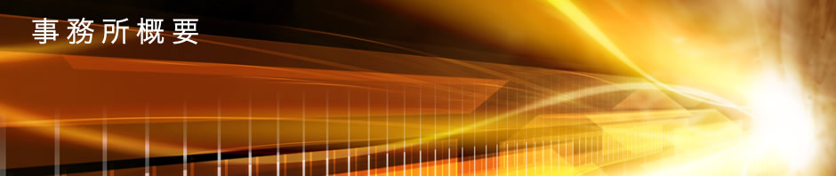 事務所概要　◎ 経営理念 わたしたちは、経営者の本当に役に立つ会計、税務、経営管理を追求するとともに、 会社の経理の人材を育て、ともに研鑽し、ともに成長し、 実践的で、会社になくてはならないアカウンティングファームを目指します。